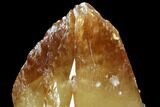 Twinned Calcite Crystal With Sphalerite - Elmwood Mine #103956-2